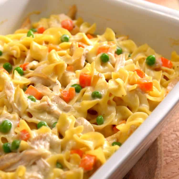 Chicken Noodle Casserole Closeup Without Topping