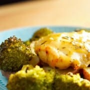 plated honey dijon chicken with broccoli.